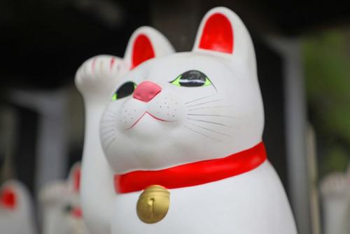 招き猫の顔