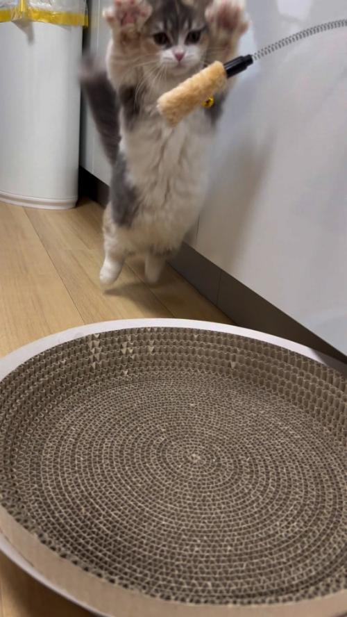 内部