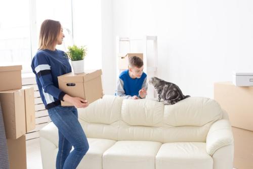 新居で荷解きする家族と猫