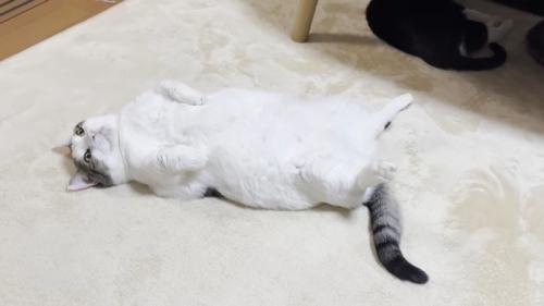横から