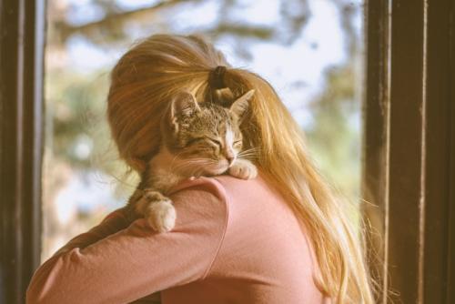 子どもに抱きしめられる子猫