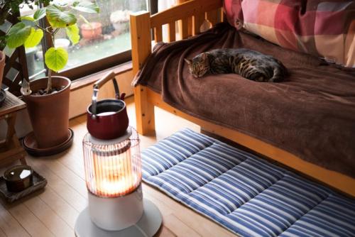 石油ストーブの部屋で寝る猫