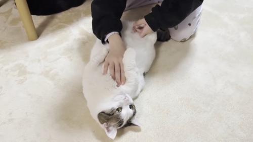 娘さんと