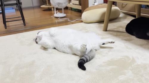 斜め後ろから