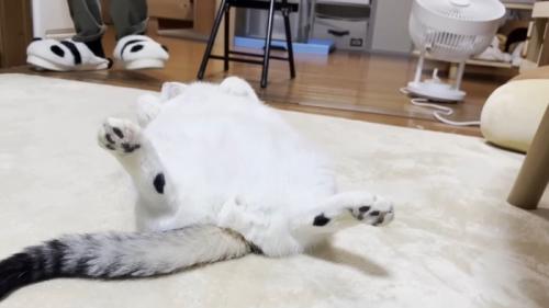 後ろから