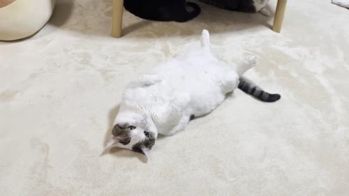 前から