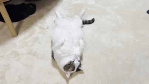 目を細めて