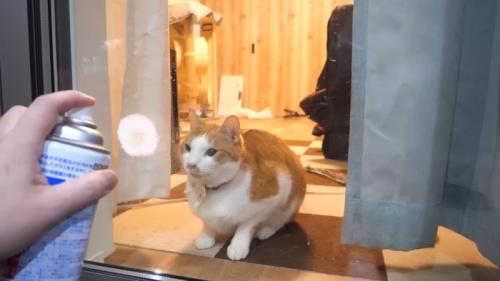 座り込むチップくん