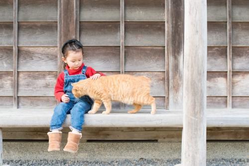 縁側に座る女の子と猫