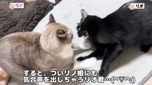 すると、つい