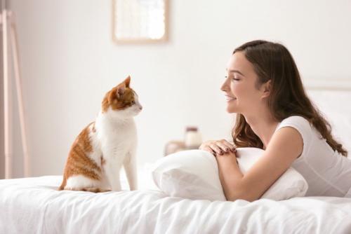 ベッドの上の女性と猫