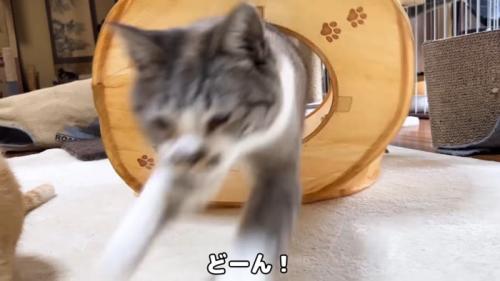 どーん！
