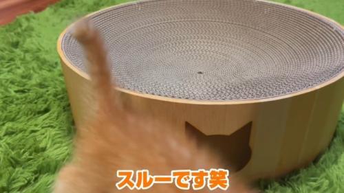 スルーです