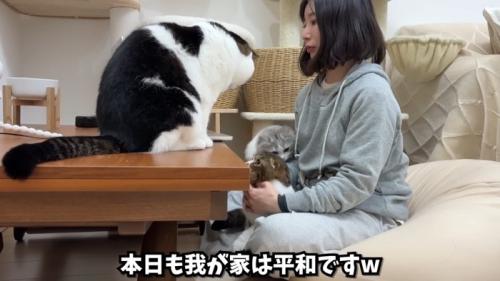 3匹とママさん