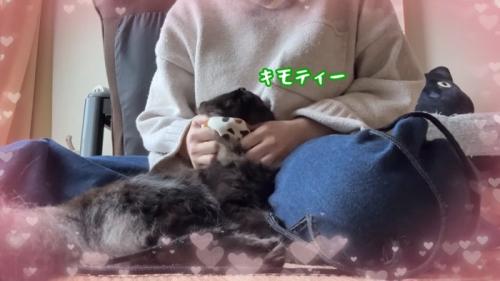 なでなで中
