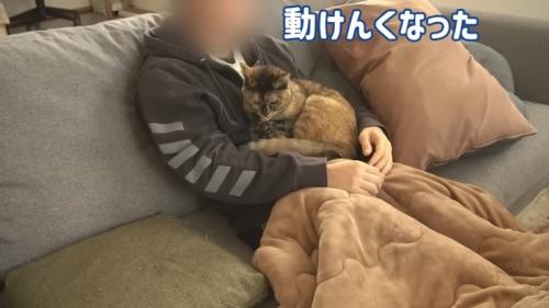 パパさんの上