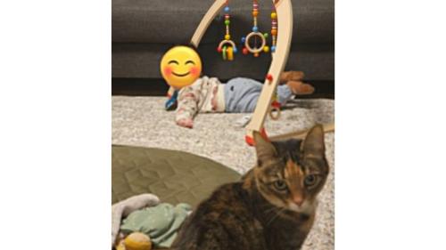 猫と赤ちゃん