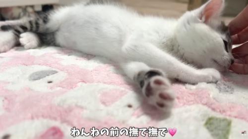 テロップ「ねんねの前の~」