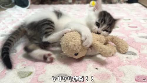 テロップ「ケリケリ炸裂!!」