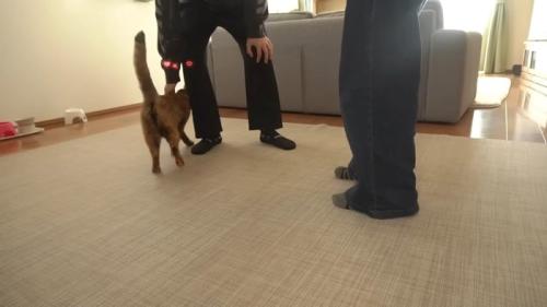 足にスリスリ