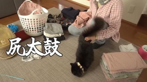 尻太鼓