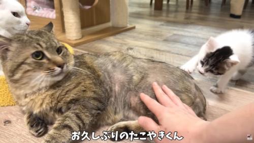 テロップ「お久しぶりの~」