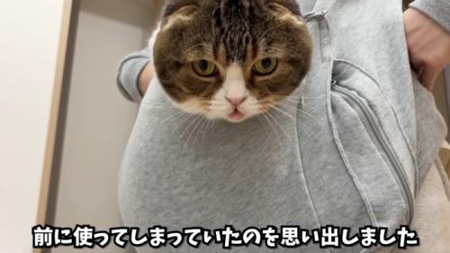ぽこ太郎くんのアップ