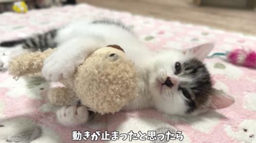 テロップ「動きが止まったと~」