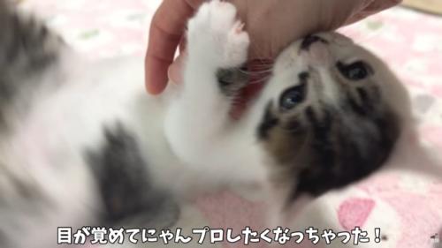 テロップ「目が覚めて~」