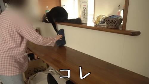 拭き掃除