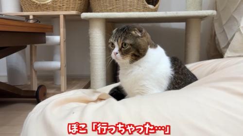 行っちゃった…