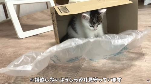 テロップ「※誤飲しないよう~」