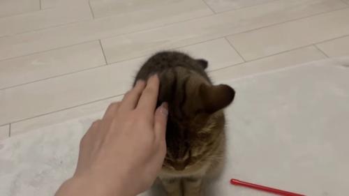 なでなで