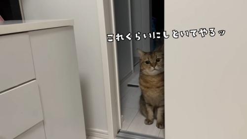 これくらいに