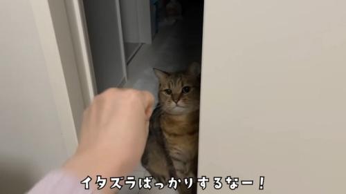 イタズラばっかり