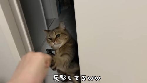 反撃してる