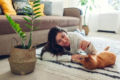 猫と遊ぶ女性