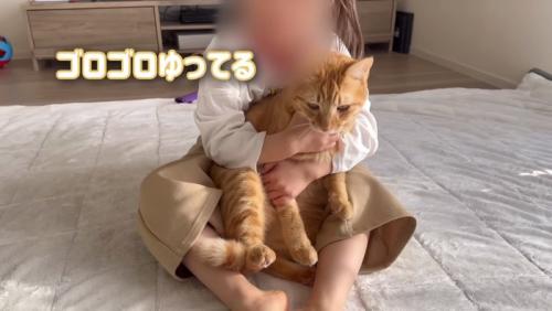 ゴロゴロするとらまる