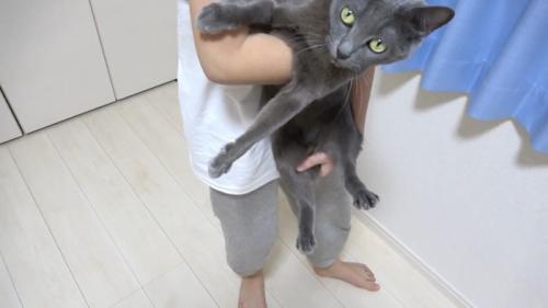 抱っこ