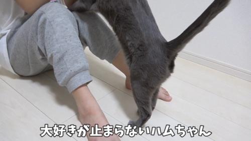 大好きが止まらない