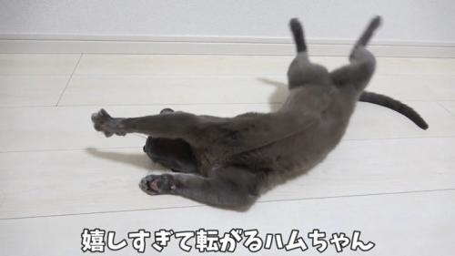 嬉しすぎて