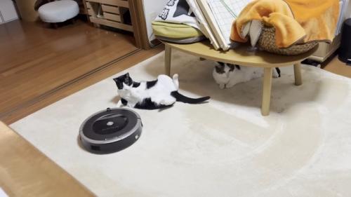 起き上がった姿