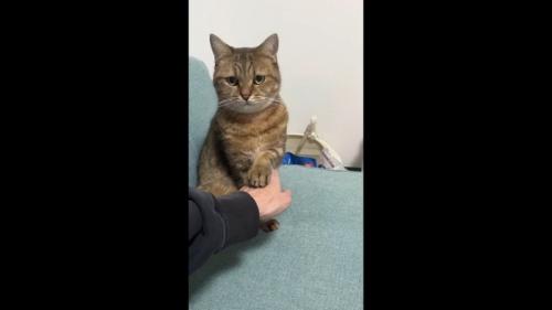 正面を向いてタッチ