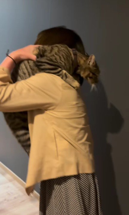 抱っこしてもらう猫