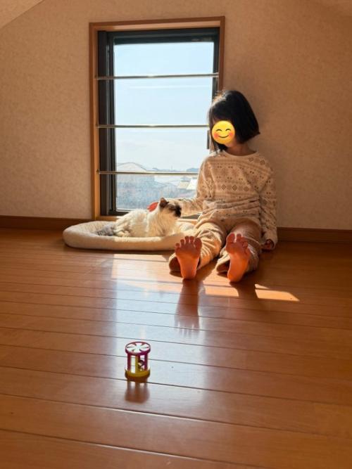 屋根裏で過ごす猫と女の子