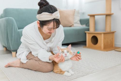 猫に投薬をする女性