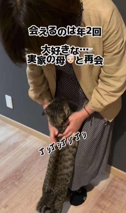 女性に甘える猫