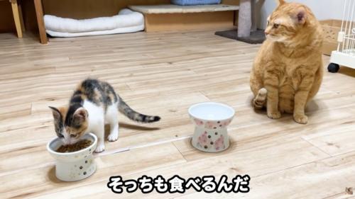 テロップ「そっちも食べるんだ」