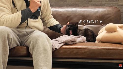 テロップ「よくねたにゃ」