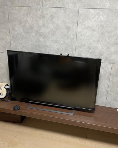 テレビの裏に隠れるすずりちゃん